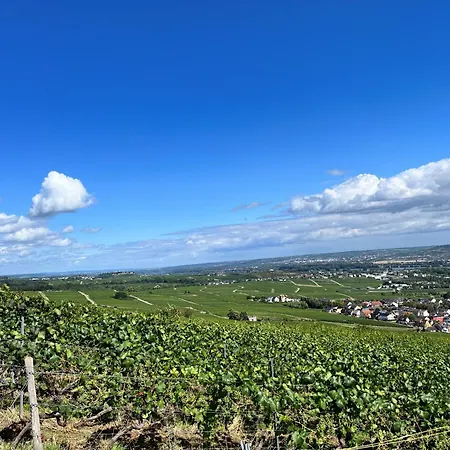 Haus Neugebauer-gaestehaus Garni * Johannisberg