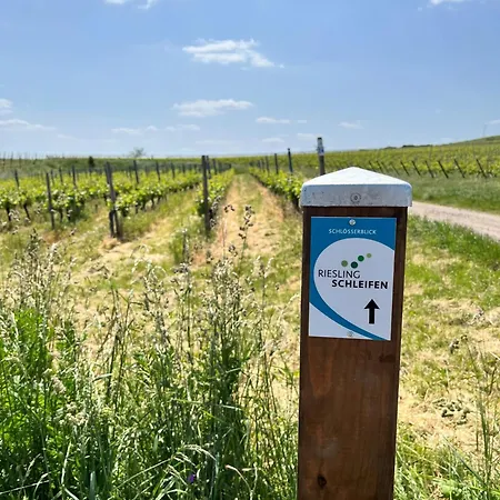 Haus Neugebauer-gaestehaus Garni Landhuis Johannisberg
