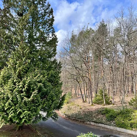 Haus Neugebauer-gaestehaus Garni Landhuis