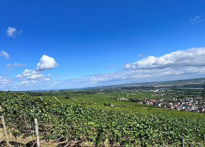 Haus Neugebauer-gaestehaus Garni * Johannisberg